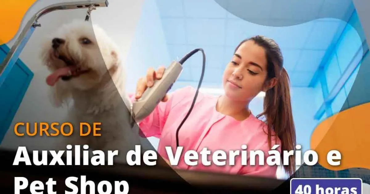 Pet Shop Perto de Mim - N+ PETCENTER Veterinário em Niterói