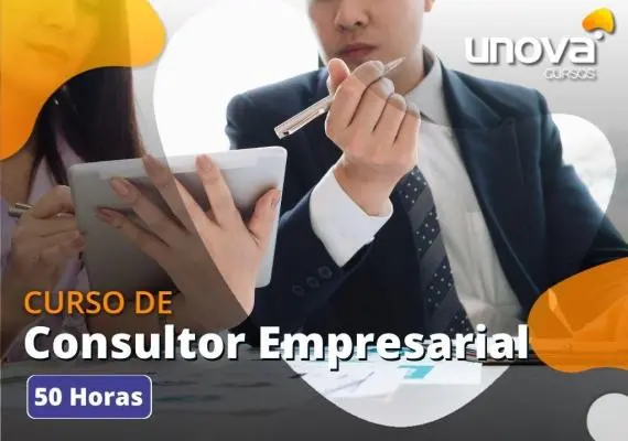 [Consultor Empresarial]