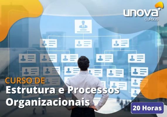 [Estrutura e Processos Organizacionais]